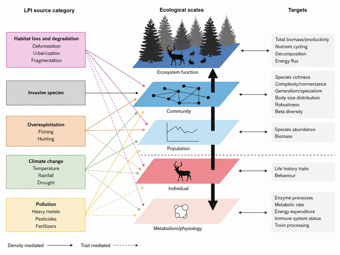 Cross-Scale Resilience
