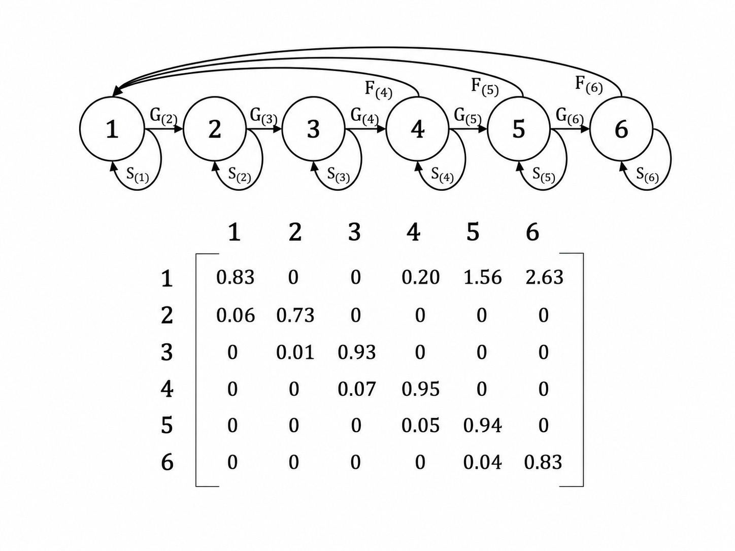 Population Demography